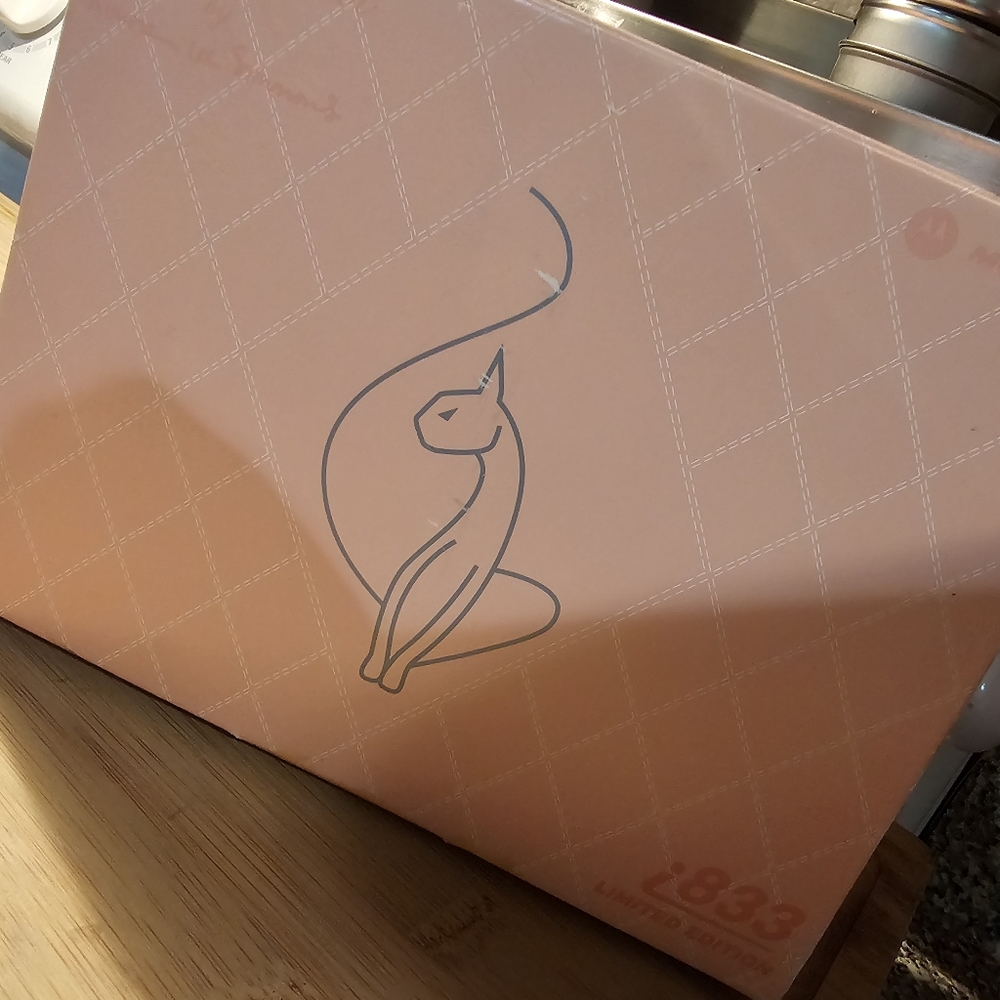 Baby Phat Pink Limited Edition Phone w/ box & accessories- Collectors item *Y2K* - Picture 11 of 16